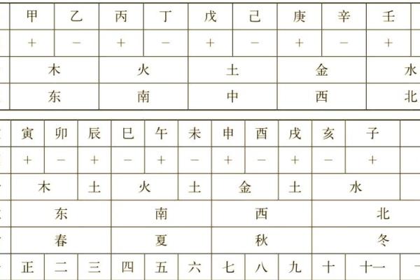 地支循藏的奥秘与应用