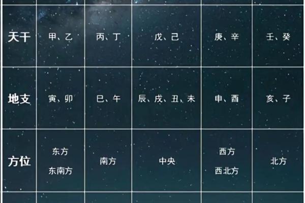 地支五行对照表解析与应用