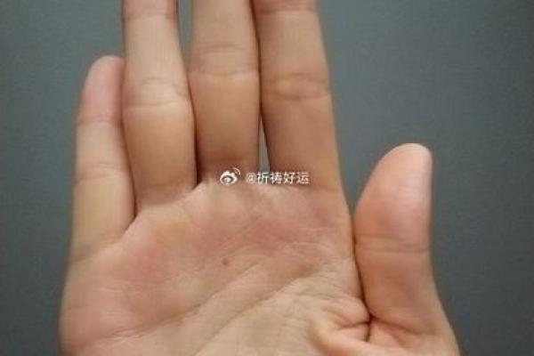 手上横纹暗藏健康秘密，快来看看你的运势如何！