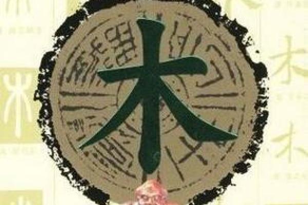 探究乙卯年五行的木属性