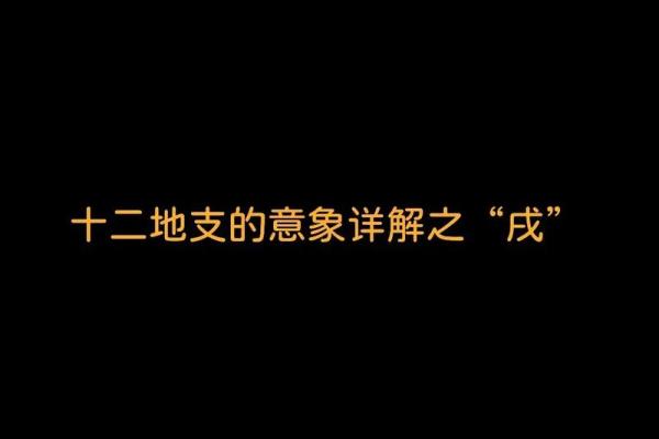 地支子财帛宫的财富象征与命理解析