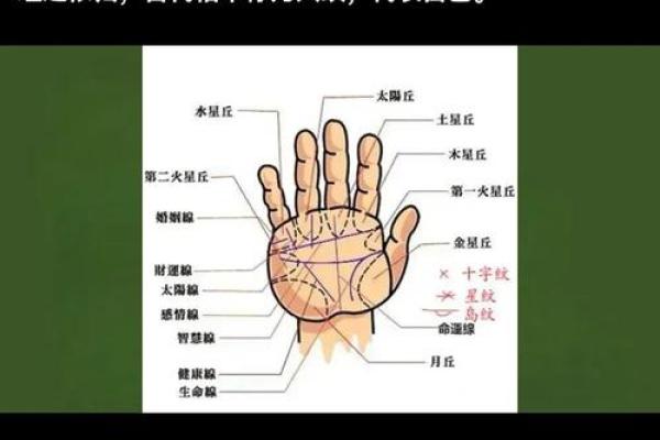 掌中奥秘