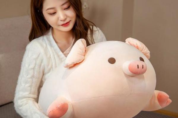 可爱猪猪公主名
