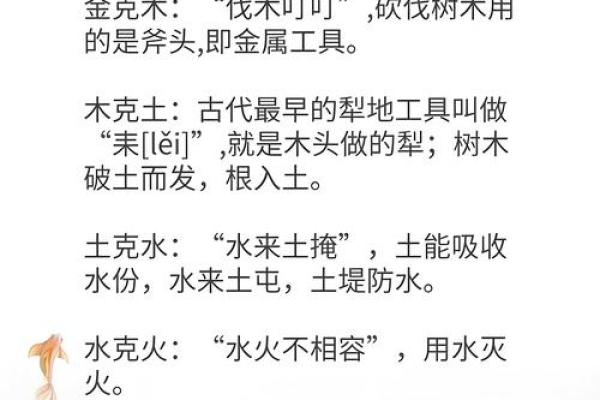 揭秘轩五行如何影响我们的生活