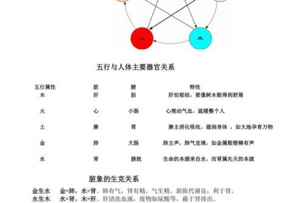 五行与媛字的关系解析