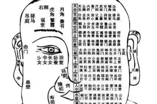 五官之间，窥见性格命运