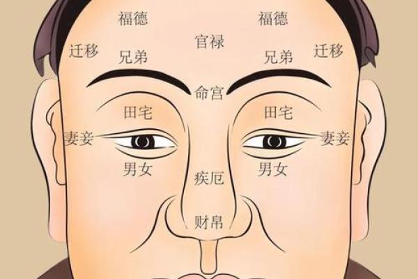 面相考试：一场令人心疼的容貌较量