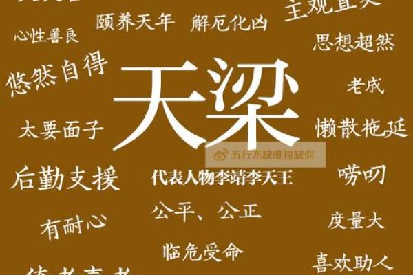 梁字在五行中为何属木