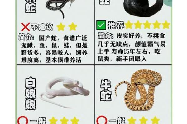 蛇在五行中的属性解析