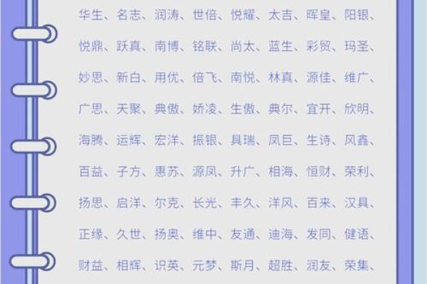 如何为架子公司起个独特又有吸引力的名字