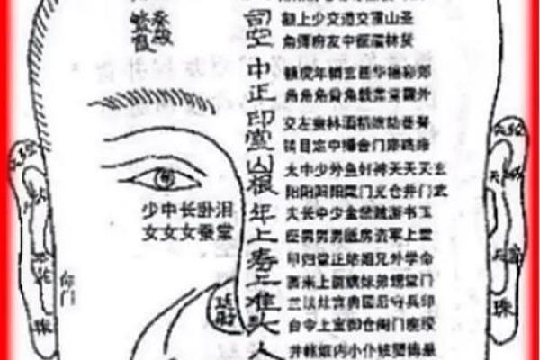 面部风水学的奥秘：从五官看你未来的好运