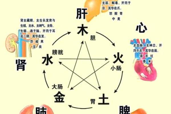 起五行属什么的秘密揭秘