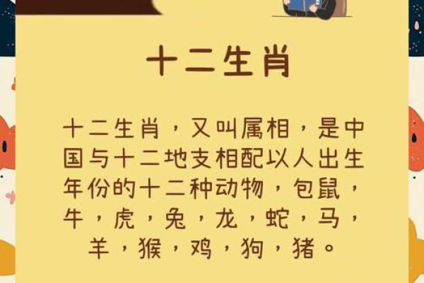 虎在十二地支中的象征意义