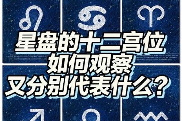 揭秘你的星命运势：星座解析让你掌握人生方向！