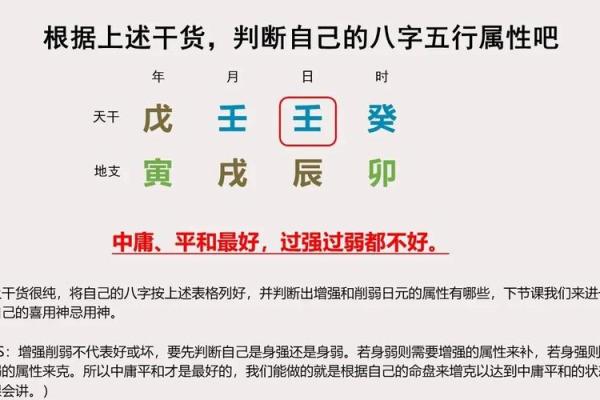 如何理解立五行属性的影响