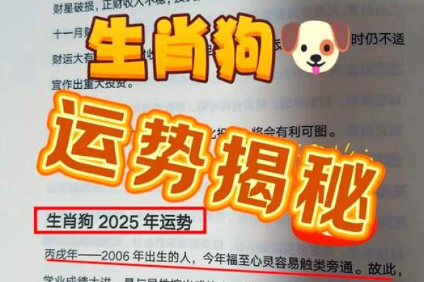 属狗人的感情与婚姻运势