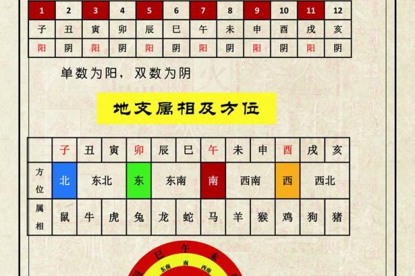 卯地支与生肖命理的深层联系