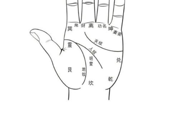 手相密码 解锁手相奥秘