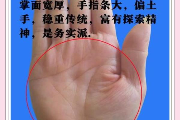 手相凹凸有致，揭秘人生轨迹！