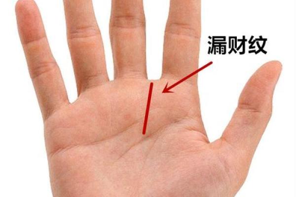 手掌藏金，财运滚滚来