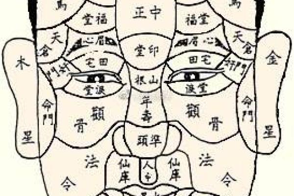 面相解析：揭秘耳根子软者的命运轨迹