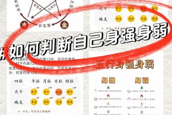 探索立五行属性的深层含义