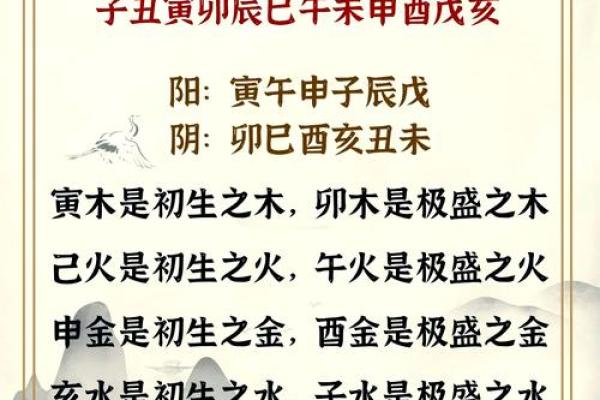 十二天支地支的深刻影响与应用
