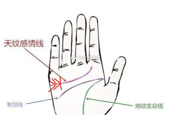 手相恋爱线：读懂你的爱情运势