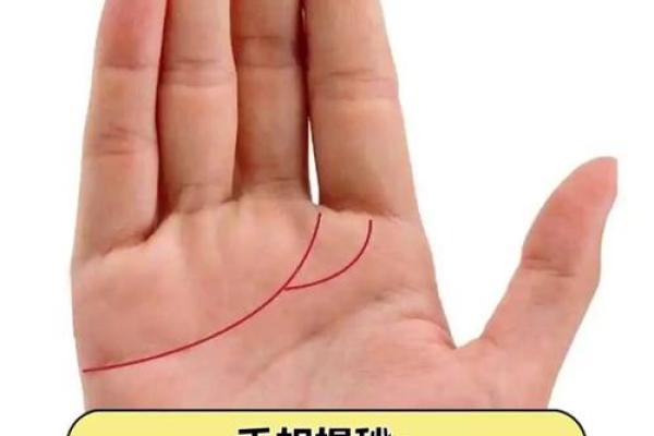 手相恋爱线：读懂你的爱情运势