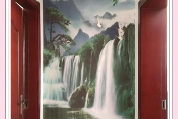 地毯布局，揭秘家居招财风水秘籍！