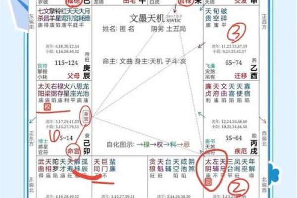紫微斗数大揭秘：你的命运轨迹在这里