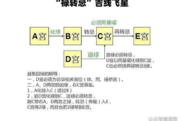 紫微斗数大揭秘：你的命运轨迹在这里