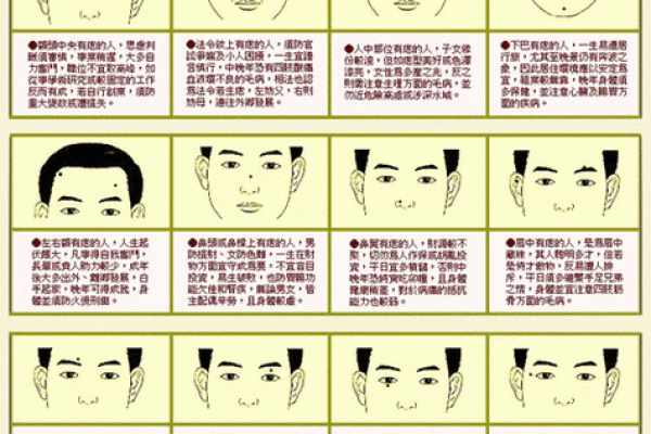 眼含星辉，运势昌隆：揭秘面相学中的眼眸奥秘