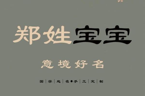好听名字推荐：郑姓女孩名字，寓意美好，音韵优羿