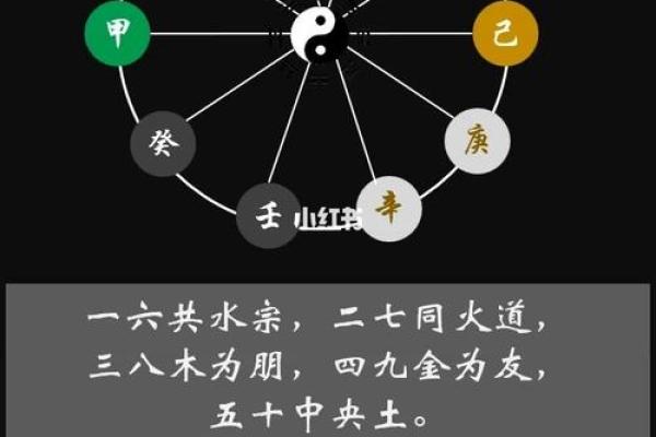 女命天干合地支合的命理解析