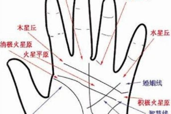 一图在手，财运亨通：手相通关秘籍，解锁财富之门