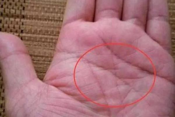 官场秘术：揭秘当官手相图，升迁必备指南