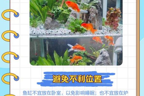 文山家居风水鱼缸，定制你的专属风水宝地