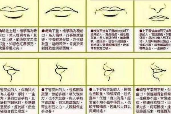 牙尖嘴利面相揭秘：揭秘面相中的尖牙利嘴之谜