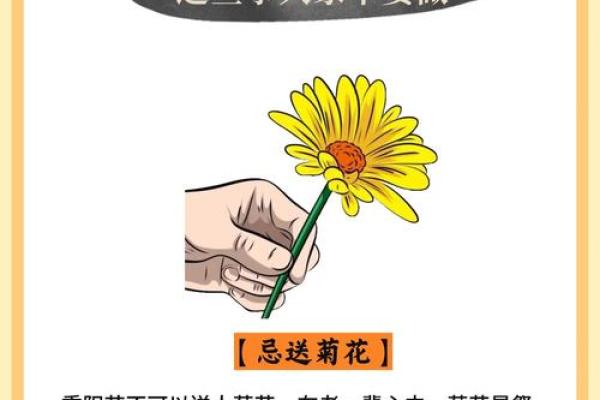 传统文化中的土族禁忌与社会习俗