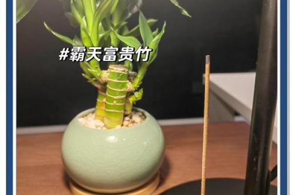 属牛人士办公室风水指南：财运亨通布局法