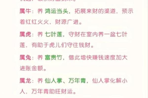 属牛人士办公室风水指南：财运亨通布局法
