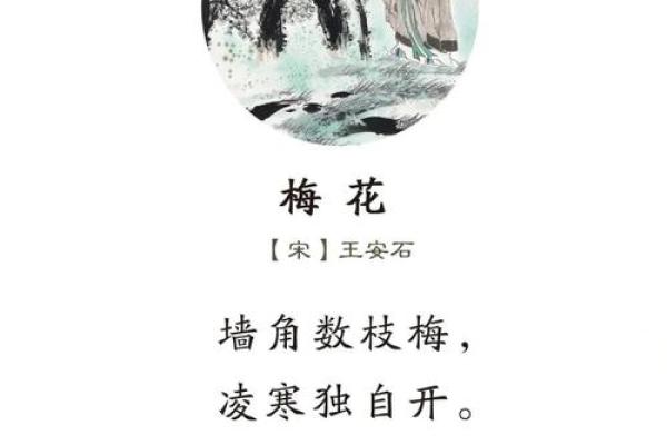 郭子寒：寒梅傲雪，子嗣昌盛，寒暖适中，人生如画