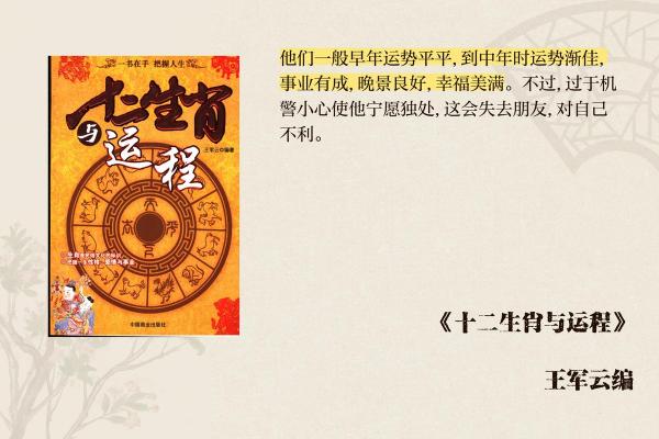解读属鼠人的五行属性