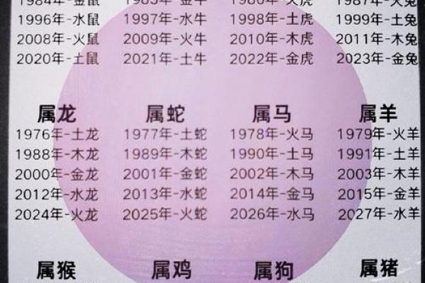 解读属鼠人的五行属性