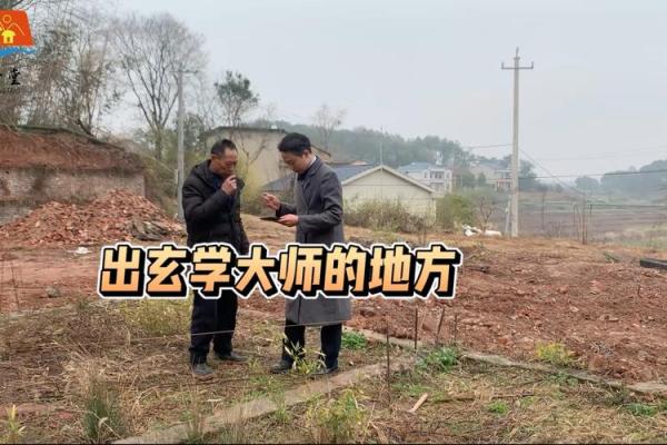 家居风水大师亲荐：哪家风水上市公司最受信赖？