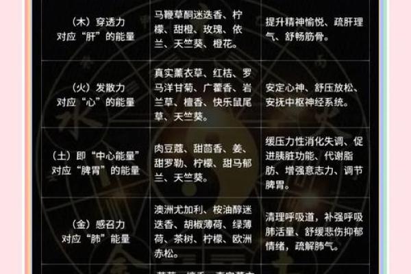 从五行看顺势而行的力量