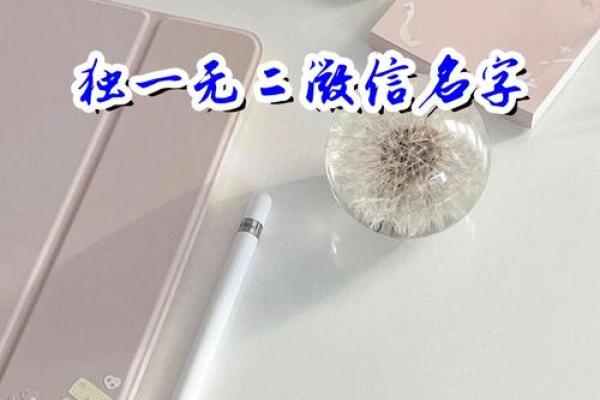 绍阳：如何用这个名字展现个人独特魅力