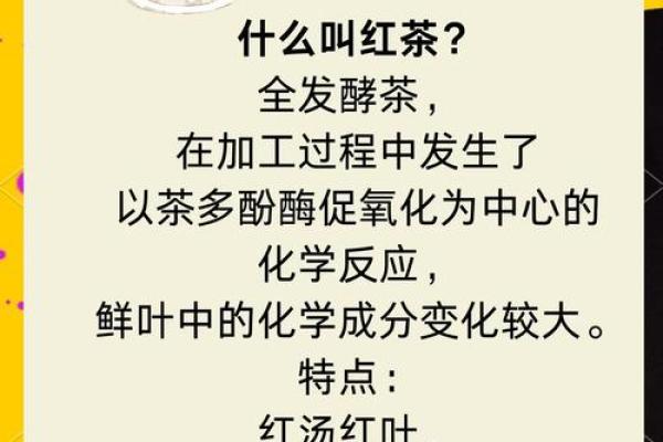 传承千年茶韵，品味古老文化精髓