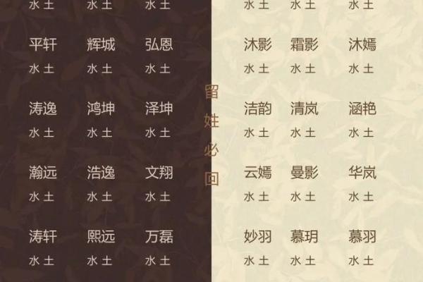 名字有韵：带土子旁男孩名字的文化内涵解析